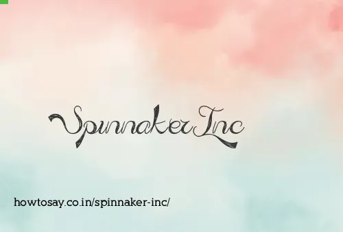 Spinnaker Inc