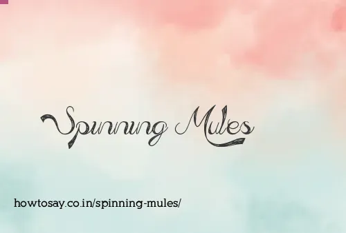 Spinning Mules