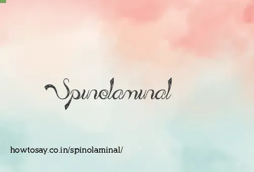 Spinolaminal