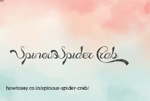Spinous Spider Crab