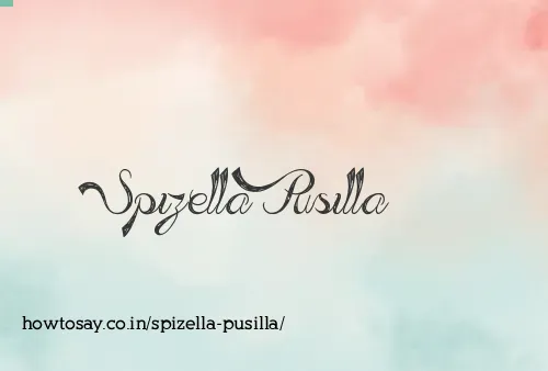 Spizella Pusilla