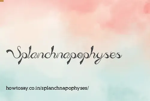 Splanchnapophyses