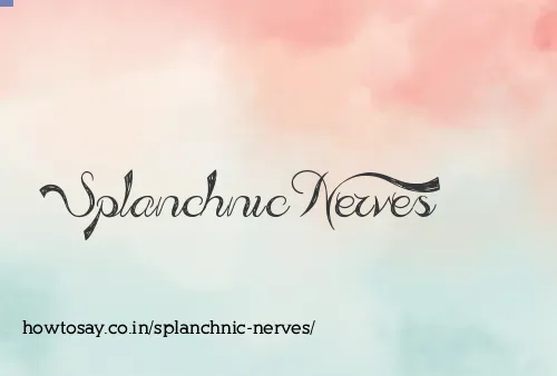 Splanchnic Nerves