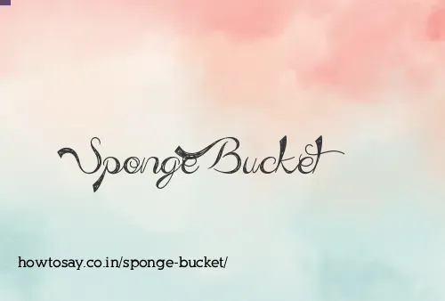 Sponge Bucket