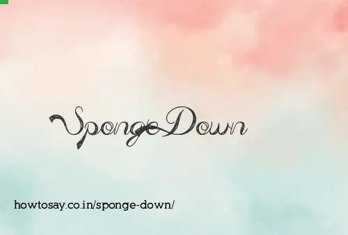 Sponge Down