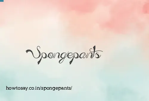 Spongepants