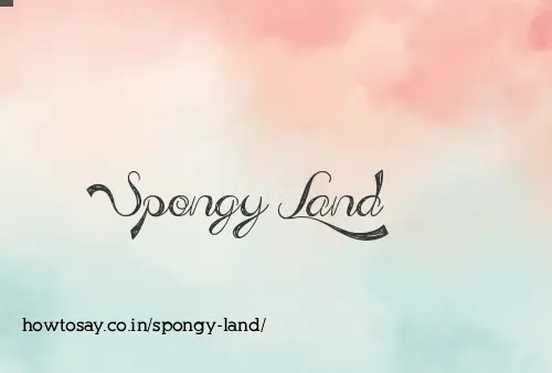 Spongy Land
