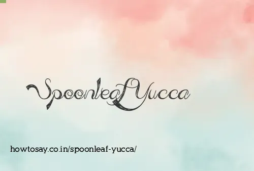 Spoonleaf Yucca