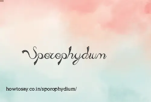Sporophydium