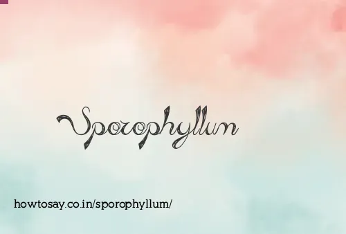 Sporophyllum
