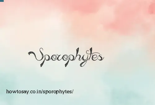Sporophytes
