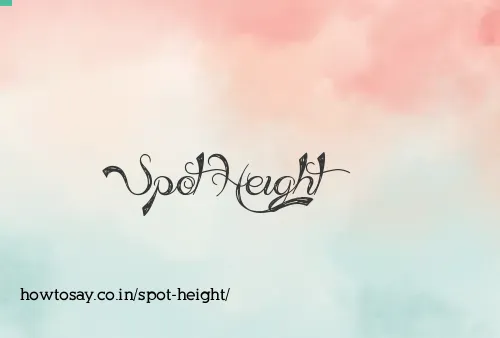 Spot Height