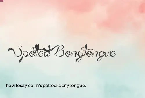 Spotted Bonytongue