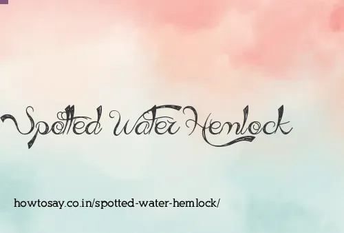 Spotted Water Hemlock