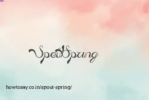 Spout Spring