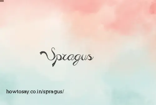 Spragus