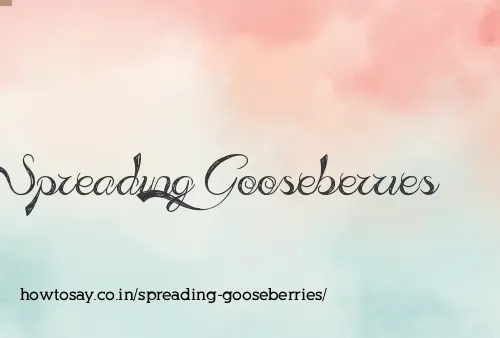Spreading Gooseberries