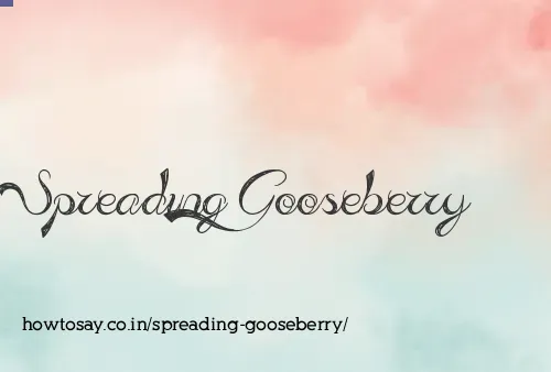 Spreading Gooseberry
