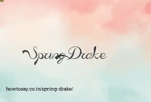 Spring Drake