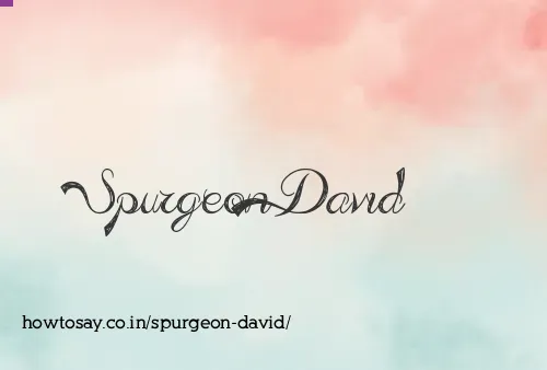 Spurgeon David