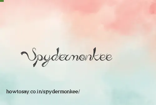 Spydermonkee
