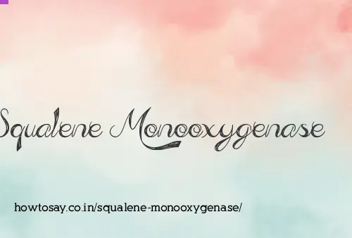 Squalene Monooxygenase