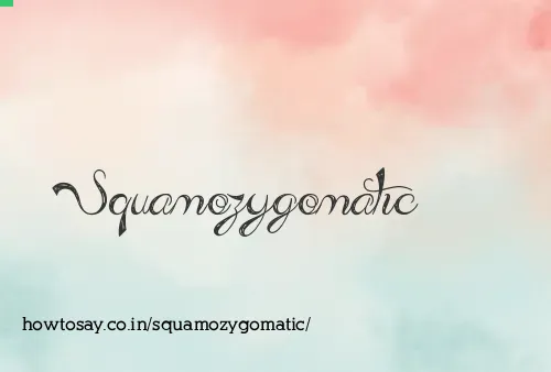 Squamozygomatic