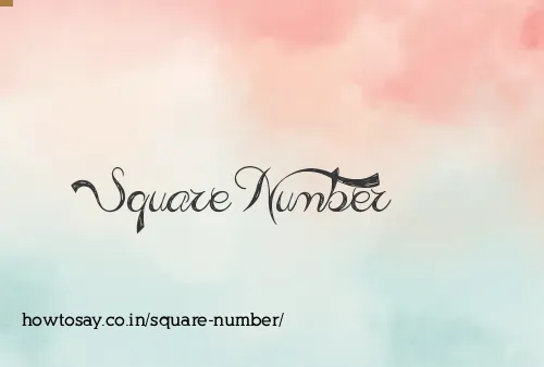 Square Number