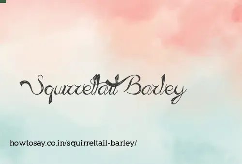 Squirreltail Barley