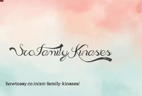 Src Family Kinases