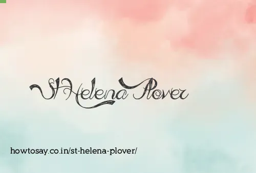 St Helena Plover