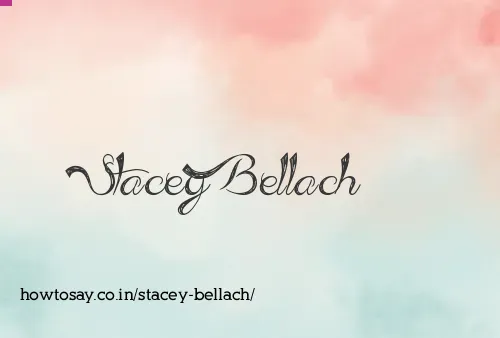 Stacey Bellach