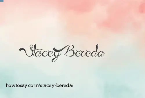 Stacey Bereda