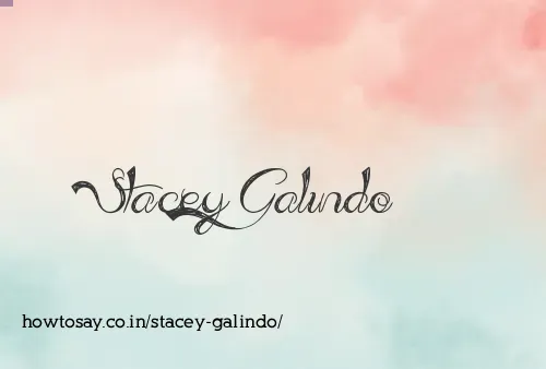 Stacey Galindo