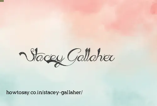 Stacey Gallaher
