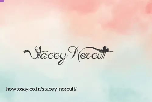 Stacey Norcutt