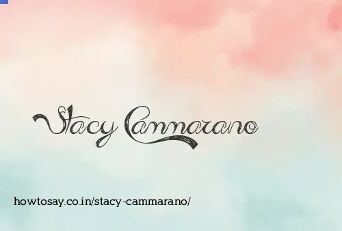Stacy Cammarano