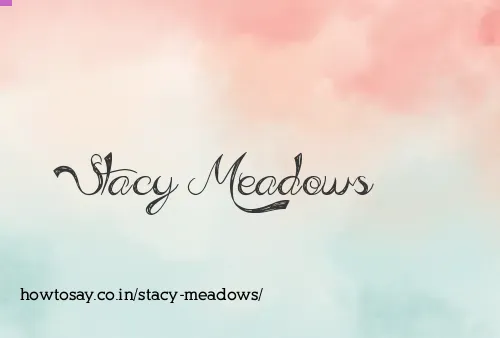 Stacy Meadows