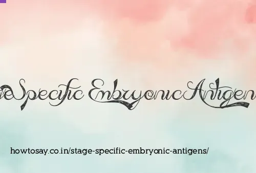 Stage Specific Embryonic Antigens