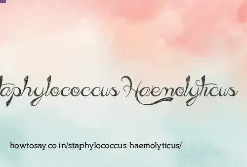Staphylococcus Haemolyticus