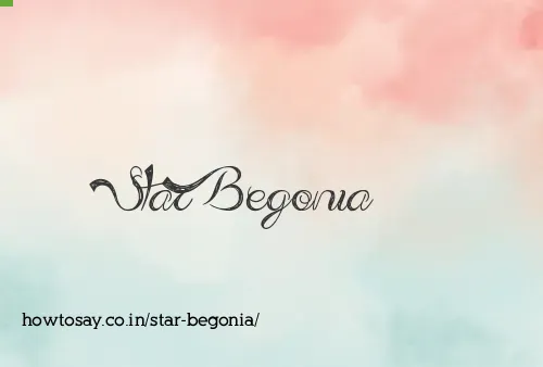 Star Begonia