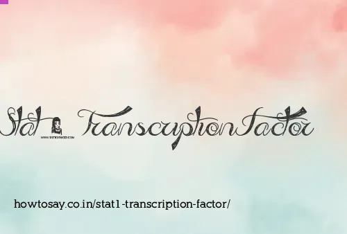 Stat1 Transcription Factor