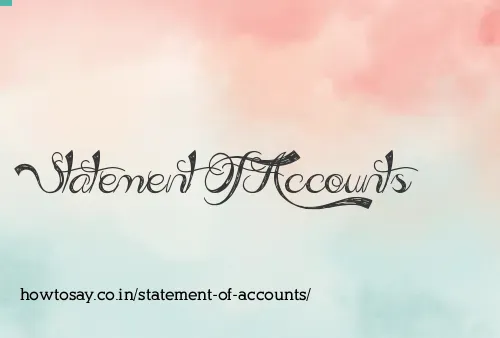 Statement Of Accounts