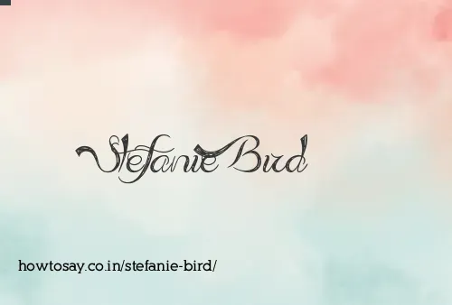 Stefanie Bird