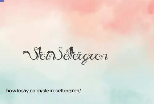 Stein Settergren