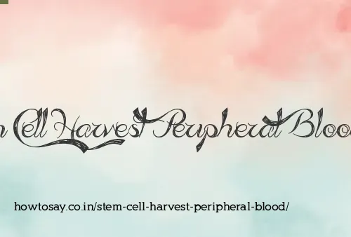 Stem Cell Harvest Peripheral Blood
