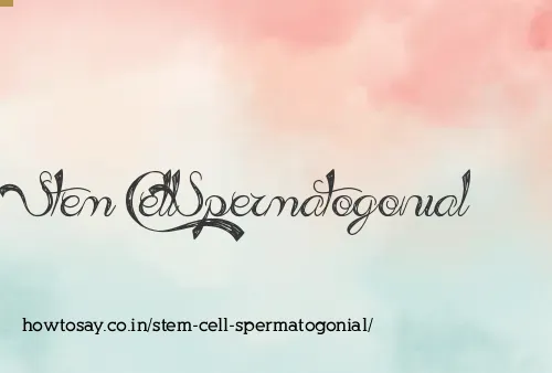 Stem Cell Spermatogonial