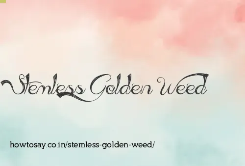 Stemless Golden Weed