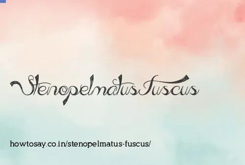 Stenopelmatus Fuscus