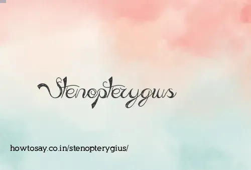 Stenopterygius